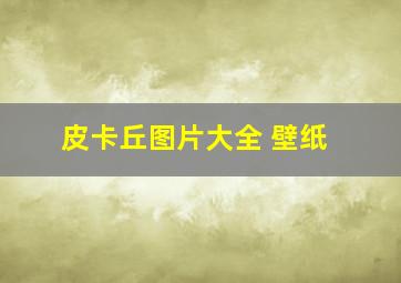 皮卡丘图片大全 壁纸